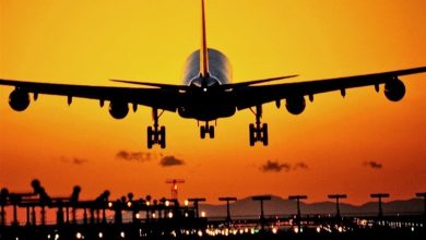 تصویر سازمان حمایت: افزایش بلیط پروازهای داخلی غیرقانونی است